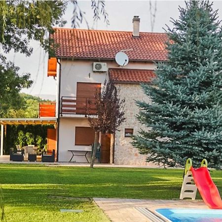 Villa Leko Dream House Cetina Exteriör bild