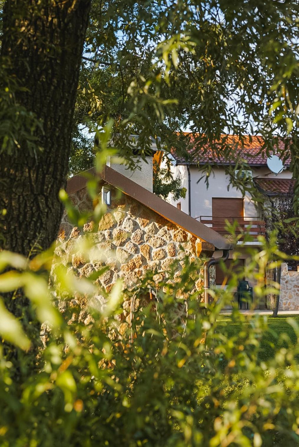 Villa Leko Dream House Cetina Exteriör bild